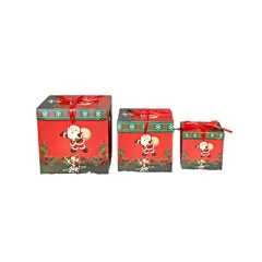 Set darilnih škatel   Model 4