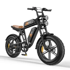 Električno kolo HillMiles MileZoom 1, motor 52V 250W, dvojna baterija 31.2Ah, 25 km/h, črna