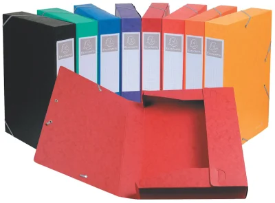 Zbirna škatla EXACOMPTA Cartobox, DIN A4, 40 mm, modra
