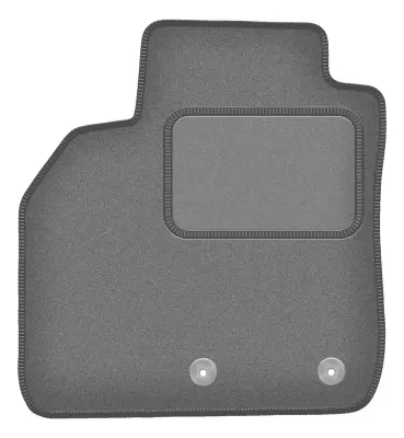 Voznikova zaščitna preproga: enoprostorec Renault Scenic III (2009-2016)