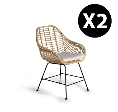 Komplet dveh ratanskih stolov z blazino