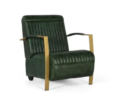 Fotelj, oblazinjen v naravnem usnju z zlatim kovinskim ogrodjem