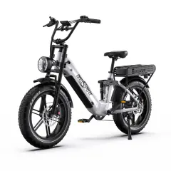 ONESPORT OT08Pro | 500 W motor | 48 V 18 Ah + 18 Ah baterija | Aplikacija za povezavo Bluetooth | 25 km/h | Velikost pnevmatik 20 * 4,0 palca