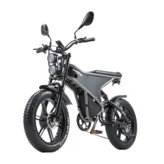 Električno kolo Randride DM711, dvojni pogon, 500 W, 48 V 20 Ah, 7 prestav Shimano, mehanske kolutne zavore, pnevmatike CST 20*4.0