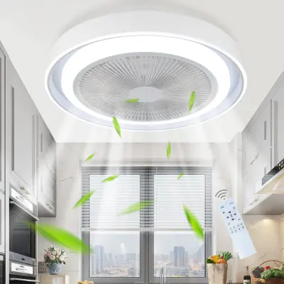 NETTLIFE Stropni ventilator z LED lučjo in daljincem - moderna stropna svetilka, tiha, zatemnitvena, 5 svetlobnih lopatic