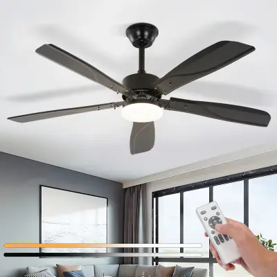 NETTLIFE stropni ventilator s LED lučjo, zatemnitvijo, 23W, črn, 125 cm, ventilatorji s časovnikom, 6 hitrosti