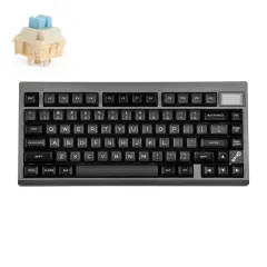 Epomaker TH80 Pro V2 VIA Programabilna Brezžična Igralna Tipkovnica Black Črna / Budgerigar Switch