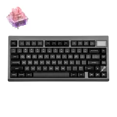 Epomaker TH80 Pro V2 VIA 75% Programabilna Brezžična Igralna Tipkovnica Black Črna / Flamingo Switch