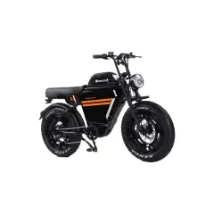 Električna kolesa Royal Bailey D1-1 21Ah 20inch 25km/h 400w 200kg 60km
