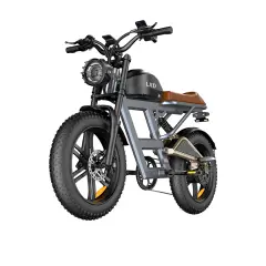 Električna kolesa Royal Bailey LXD Royal Bailey LXD-Q10-3 48v 35Ah 140km 20inch 1000w 25km/h 150km