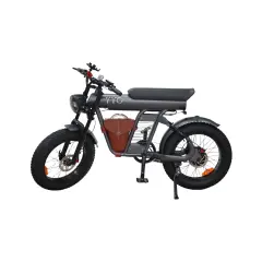 Električna kolesa Royal Bailey Yyg ZM21 48V15AH 55KM 20inch 25km/h 200kg