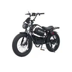 Električna kolesa Royal Bailey Qilikj TDM202Z-2 18AH 55KM 20inch 25km/h 200kg