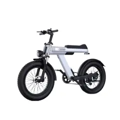 Električna kolesa Royal Bailey Yonglite C9 15AH 55KM 20inch 20km/h 200kg