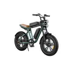 Električna kolesa Royal Bailey Engwe M20 48V 13AH 70KM 20inch 25km/h 200kg