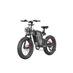 Električna kolesa Royal Bailey YL08X20 48V 400W 13AH 20inch 55km 25km/h 200kg
