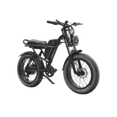 Električna kolesa Royal Bailey IDpoo beijixiong-2 20inch 48v 12AH 45KM 25km/h 200kg