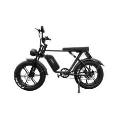 Električna kolesa Royal Bailey Oyfly TDE-122Z 48V 8Ah 30km 750w 20inch 25km/h 350kg