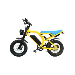 Električna kolesa Royal Bailey Aoge K6-1 500W 48V 15AH 16inch 150kg 35km 25km/h
