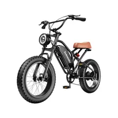 Električna kolesa Royal Bailey ZB S4-3 32AH 100KM 20inch 25km/h 200kg