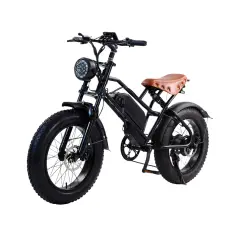 Električna kolesa Royal Bailey C4 48V10AH 25KM 20inch 25km/h 200kg