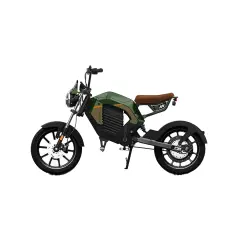 Električna kolesa Royal Bailey Tromox Pesgo C 48V 24Ah 400w 25km/h 80km 14inch 200kg