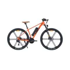 Električna kolesa Royal Bailey Limit E-29 48V 7AH 400W 45KM 29inch 25km/h 150kg