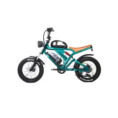 Električna kolesa Royal Bailey Aoge k7 500W 48V 20AH 20inch 55km 25km/h 180kg
