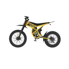 Električna kolesa Royal Bailey HongLong V1 48V 18.2AH 2000W 110KM 25inch 45km/h 200kg