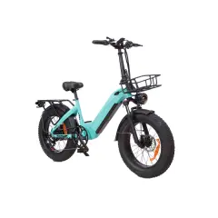 Električna kolesa Royal Bailey Manke MZ-9 48V 12AH 500w 20inch 35km/h 45km 150kg