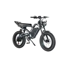 Električna kolesa Royal Bailey Limit Royal Bailey Limit-20 48v400w 20Ah 20inch 25km/h 40km