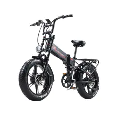 Električna kolesa Royal Bailey Panorioe YX20M 48V 20AH 1000w 20inch 25km/h 50km 180kg
