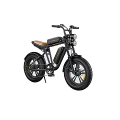 Električna kolesa Royal Bailey Engwe M20-1 48V 26AH 100KM 20inch 25km/h 200kg