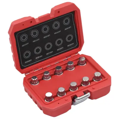 vidaXL Komplet pritrdilnih matic za kolesa za VW