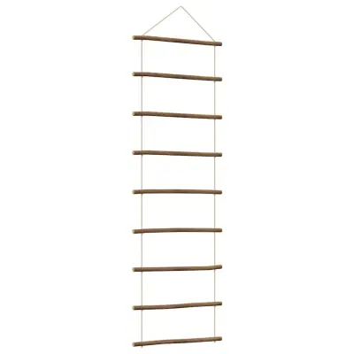 vidaXL Stenska dekoracija v obliki lestve 50x150 cm Naravna veja