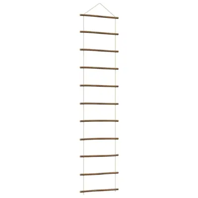 vidaXL Stenska dekoracija v obliki lestve 50x200 cm Naravna veja