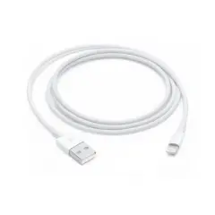 Vrnjen artikel - Apple Lightning to USB 1m Polnilni Kabel