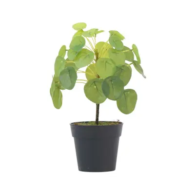 Umetna pilea peperomioides - višina 25cm