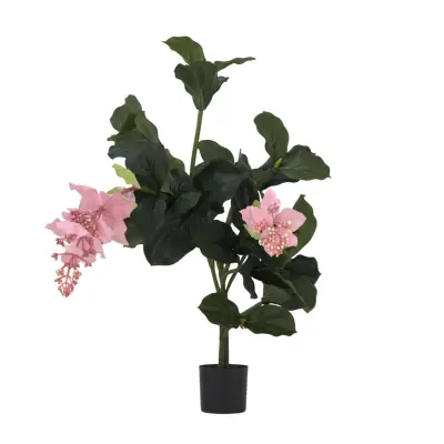 Umetna medinilla magnifica - višina 85cm