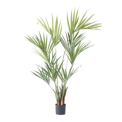 Umetna kentia - višina 150cm