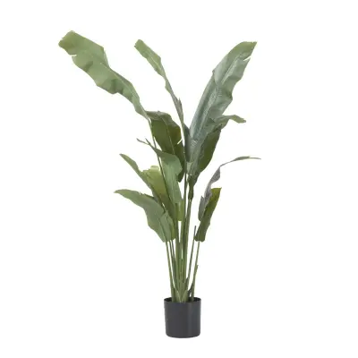 Umetna strelicija - višina 160cm