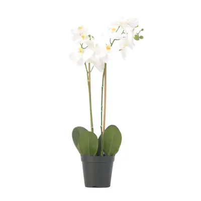 Umetna orhideja falaenopsis - višina 55cm
