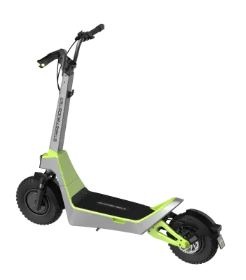 STREETBOOSTER Pollux srebrno zelena