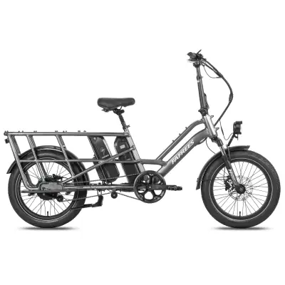 Električno delovno kolo Fafrees FF20 CUV, primerno za družine, dvojna baterija, siva