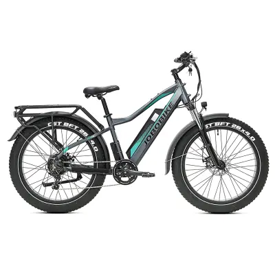 Električni fatbike za moške JOBOBIKE Robin, za vse terene, Bafang 250W, 48V 13Ah baterija, črno-zelena
