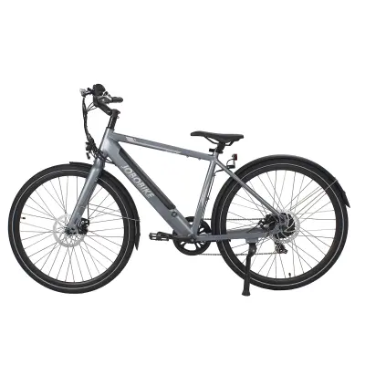 Električno mestno kolo JOBOBIKE Viva, 250W 36V 14Ah, 25 km/h, sivo