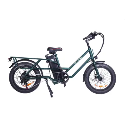 Električno prtljažno tovorno kolo GOGOBEST GF200, 48V 15,6Ah, doseg 60km, zeleno