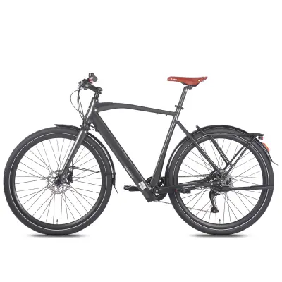 Mestno električno kolo FAFREES F700M, 36V 250W, senzor navora, črna
