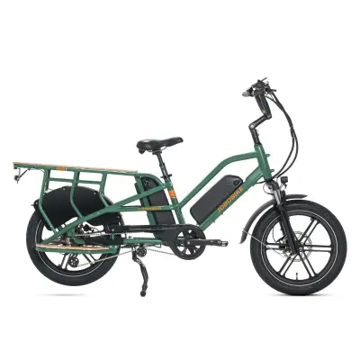 Električno tovorno kolo za družino JOBOBIKE Transer, senzor navora, 48V 13Ah dvojna baterija, nosilnost 200kg, zeleno