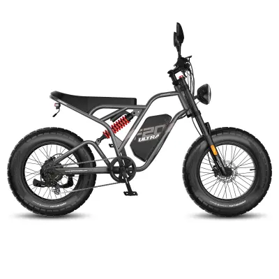 Gorsko električno kolo Fafrees F20 Ultra, 20" × 5.0 terenske pnevmatike, 48V 25Ah baterija, Moto Style, siva