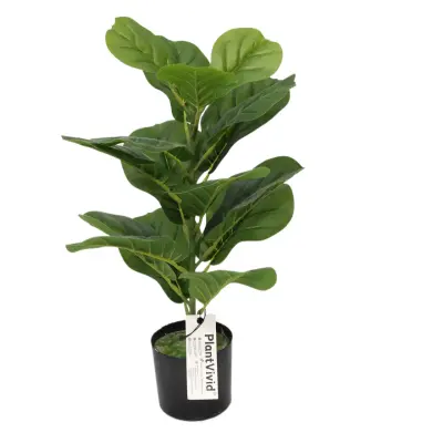 55Cm Mini Umetna Fige List Fig Z 16 Temno Zelenimi Velikimi Listi Potted Umetna Rastlina Za Namizje Božična Dekoracija